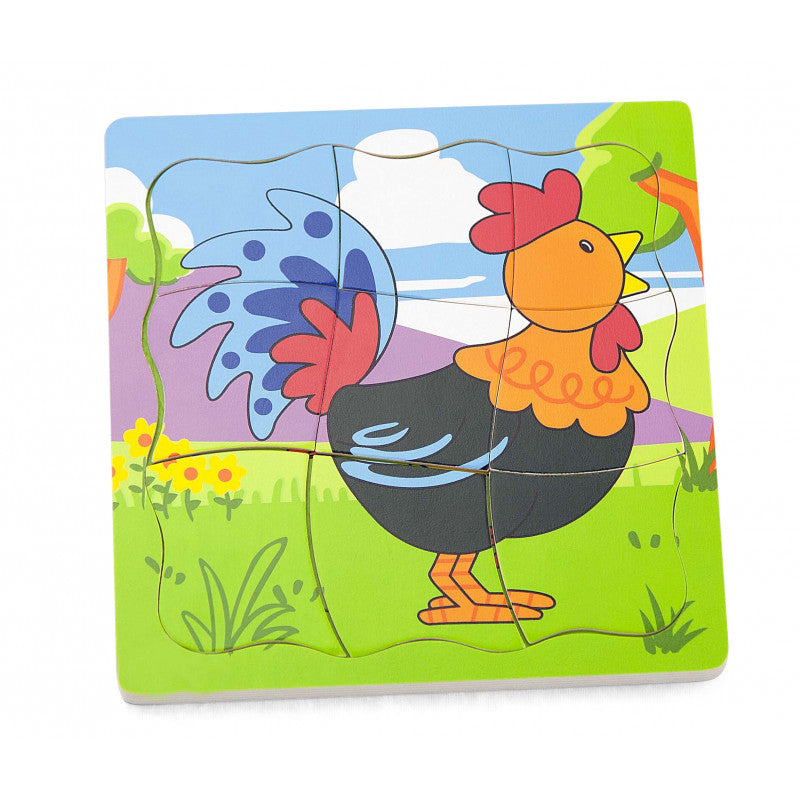 Puzzle in straturi Evolutie cocos, Viga